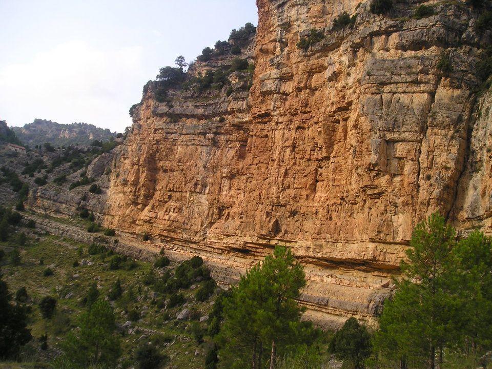 Naturaleza *